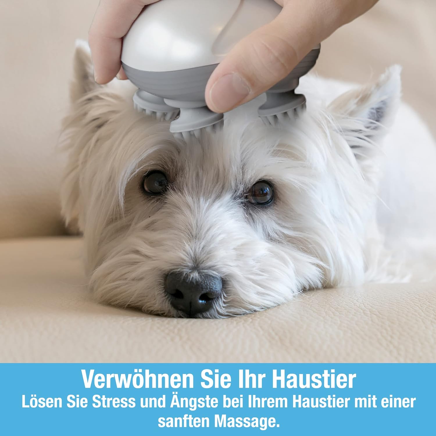 Tilcare Hunde- und Katzennassfutter Gelee 400g, 24er-Pack – Hochwertige Nasskost für tägliche Ernährung in Gelee-Form