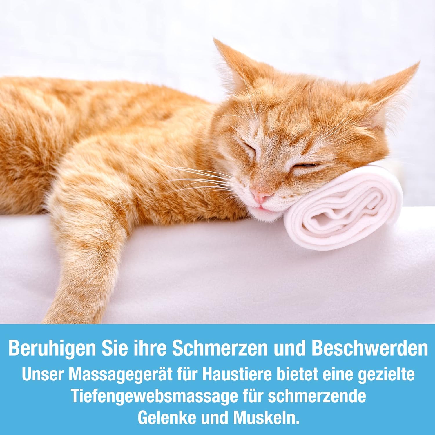 Tilcare Hunde- und Katzennassfutter Gelee 400g, 24er-Pack – Hochwertige Nasskost für tägliche Ernährung in Gelee-Form