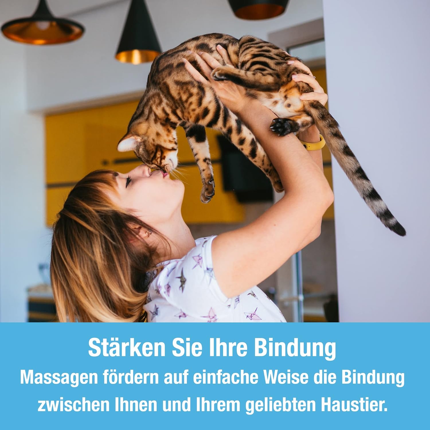 Tilcare Hunde- und Katzennassfutter Gelee 400g, 24er-Pack – Hochwertige Nasskost für tägliche Ernährung in Gelee-Form