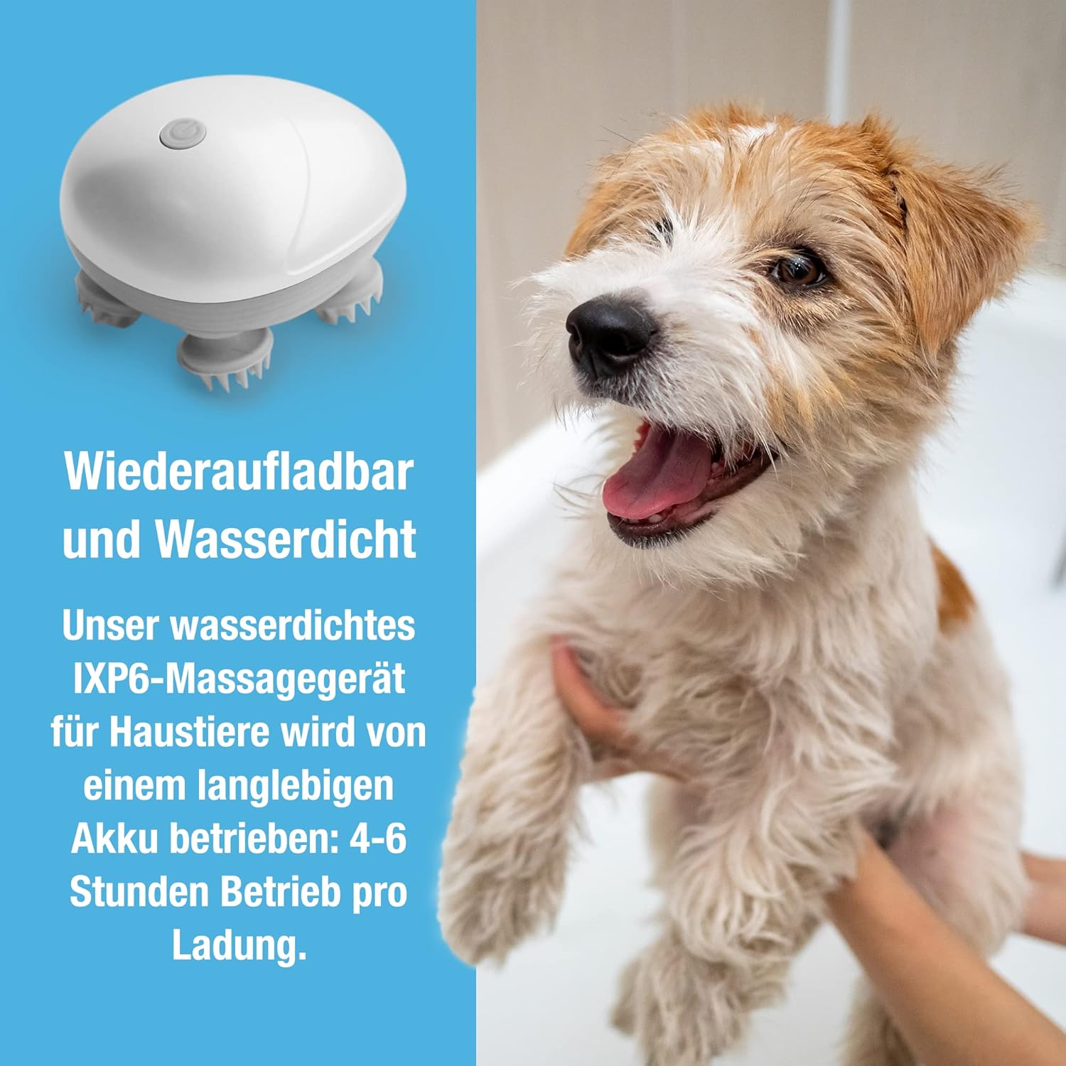 Tilcare Hunde- und Katzennassfutter Gelee 400g, 24er-Pack – Hochwertige Nasskost für tägliche Ernährung in Gelee-Form